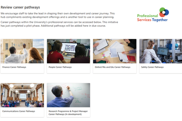 Career pathways hub Visual of career pathways hub